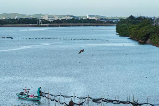 漁師さんのおこぼれを狙って集まる鳥たち 漁師さんのおこぼれを狙って集まる鳥たちの写真