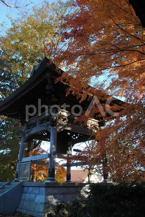 軽井沢追分宿泉洞寺の紅葉 長野県,軽井沢,しなの鉄道の写真素材