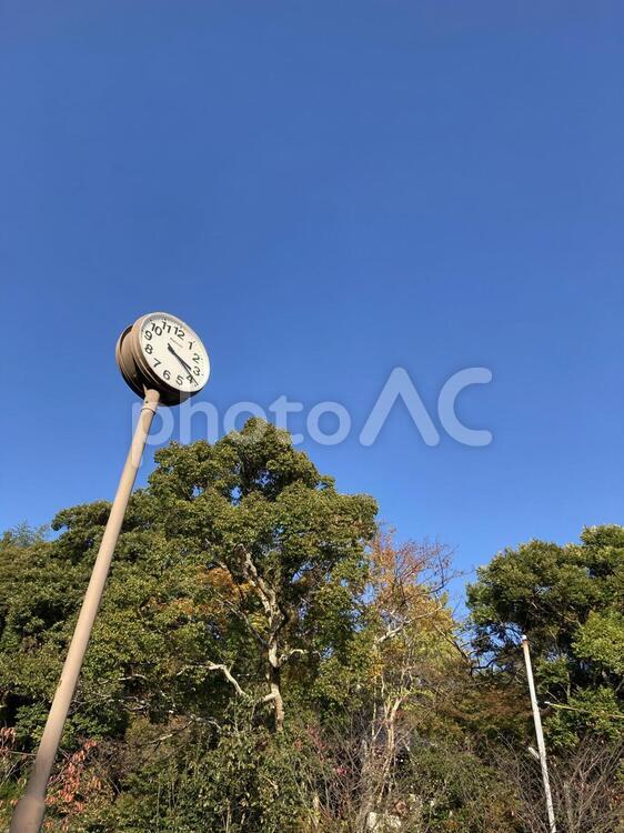 公園の時計 公園,時計,秋の写真素材