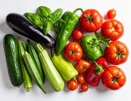 採れたて新鮮色とりどりの夏野菜 採れたて新鮮色とりどりの夏野菜の写真