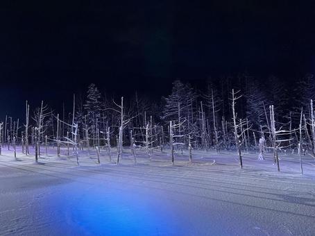 青い池 青い池の写真