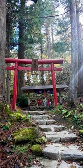 Photo, iwate prefecture, a shrine, bailongshe, 