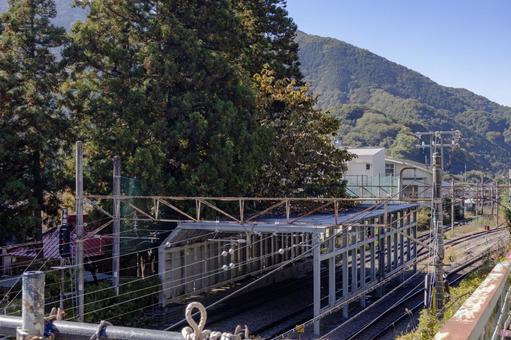 初鹿野諏訪神社の朴の木 初鹿野諏訪神社,神社,伝説の写真素材