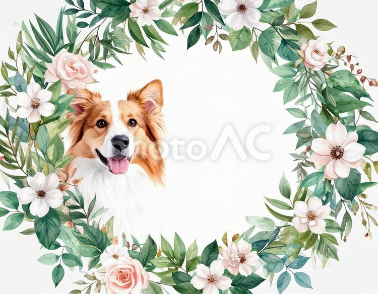 犬と花のテキスト飾り枠の素材 犬,花,植物の写真素材