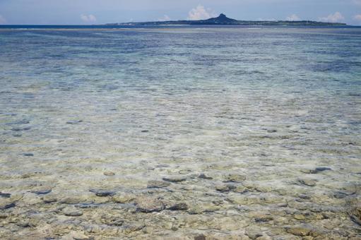透明な海 透明な海の写真