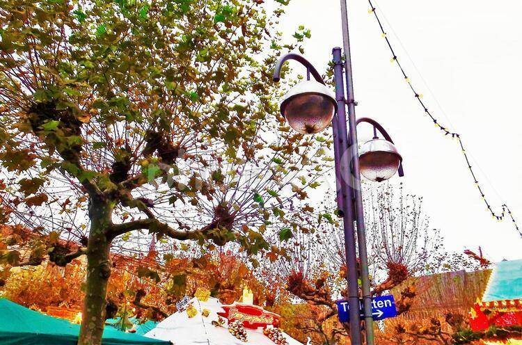 フランクフルトの風景　街灯 ドイツ,フランクフルト,フランクフルトの街並みの写真素材