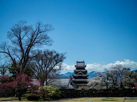 松本城と北アルプスの写真
