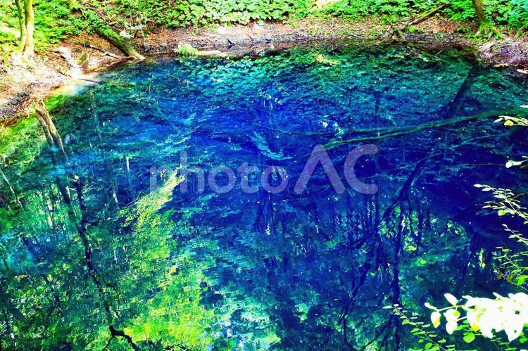 青森・十二湖・青池 青池,十二湖,青森の写真素材