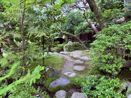 日本庭園の趣のある道 日本庭園の趣のある道 日本庭園,日本,京都の写真素材
