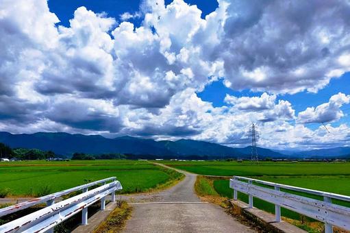 2025年8月の里山6 2025年8月の里山6 用水路,橋,ガードレールの写真素材
