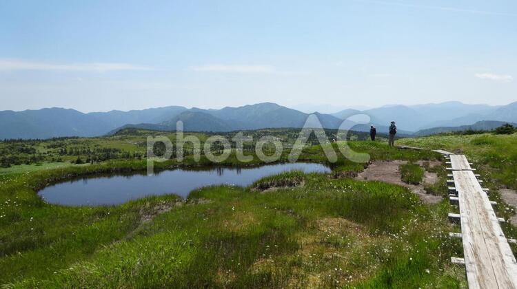 苗場山山頂の湿地帯と木道 沼,湿地,湿地帯の写真素材
