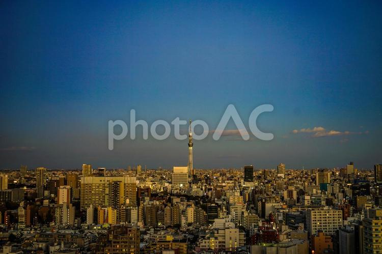 文京シビックセンターからの夕景（スカイツリー方面）７ skytree,tokyoskytree,オフィスビルの写真素材