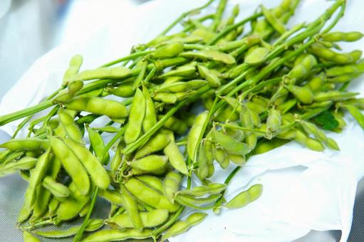 生枝豆(引き) 生枝豆(引き) 枝豆,生,鞘の写真素材