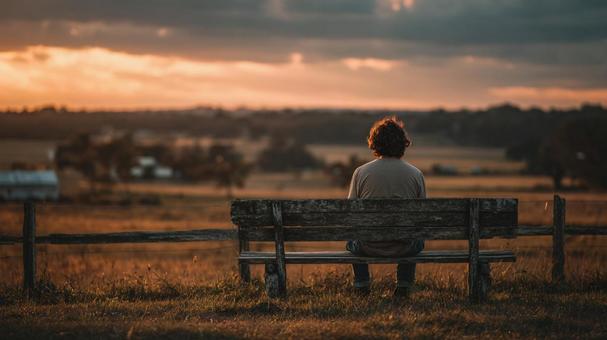 Back view of a man sitting on a wooden bench in a meadow at sunset, male, rear view, grassland, JPG