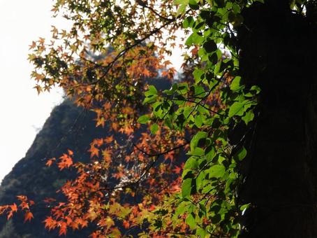 11月の風景 11月の風景の写真