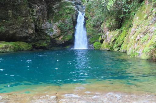【高知県】にこ淵 【高知県】にこ淵 にこ淵,滝,滝壺の写真素材