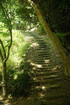 階段 階段の写真
