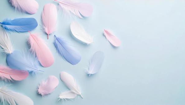 カラフルな羽毛の背景画像 カラフルな羽毛の背景画像の写真