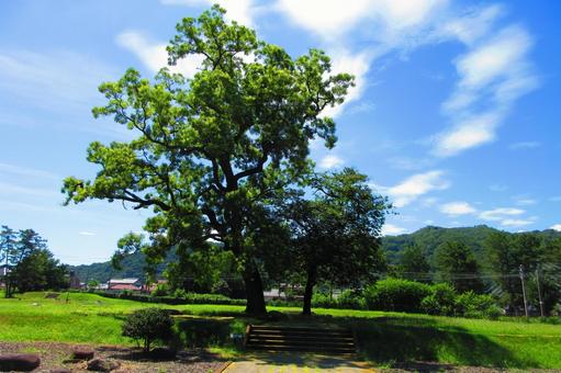 長野県-信濃国分寺跡史跡公園-僧寺跡 長野県-信濃国分寺跡史跡公園-僧寺跡の写真