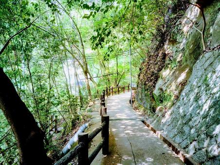The road to Metaki waterfall, JPG The road to Metaki waterfall, JPG