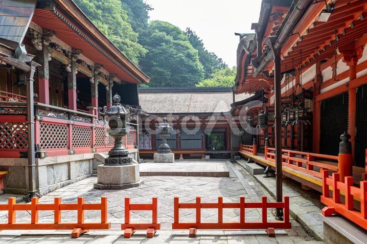 奈良　談山神社　本殿と拝殿 談山神社,談山,神社の写真素材