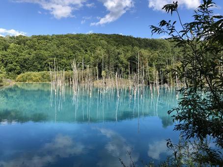 北海道 青い池 北海道 青い池の写真