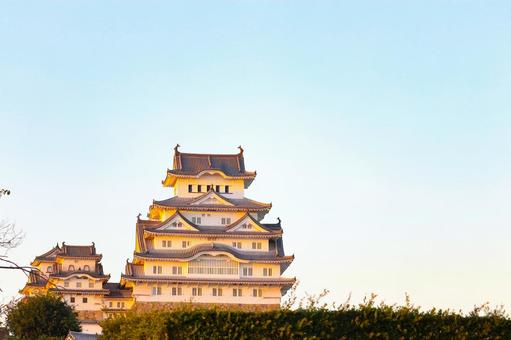 夕方の姫路城 夕方の姫路城 姫路城,姫路市,兵庫県の写真素材