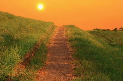 夕日に染まる土手の小坂道 夕陽,土手,川原の写真素材