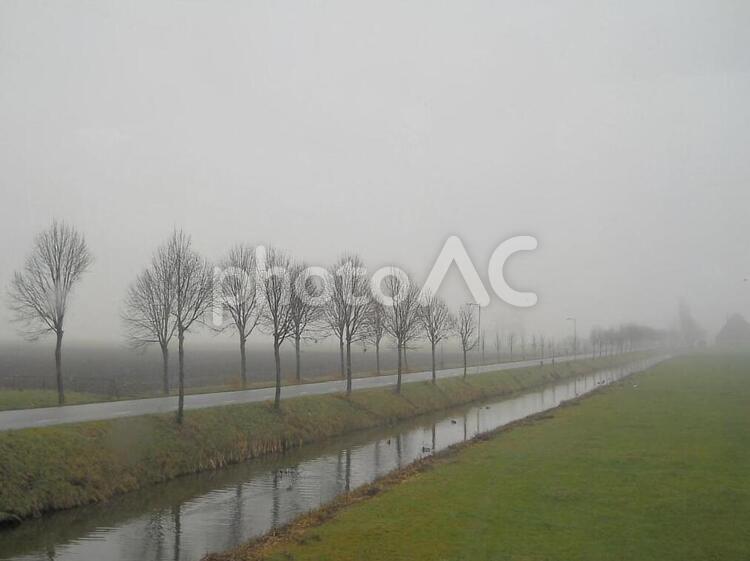 朝もやの水路のある風景 霧,朝,早朝の写真素材