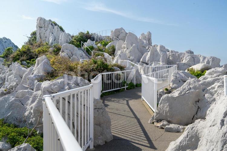 和歌山　白崎海岸 白崎海洋公園,白崎海岸,白崎の写真素材