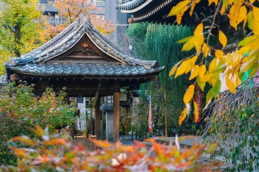 京都、六角堂の手水舎と秋の境内風景 風景,京都,六角堂の写真素材