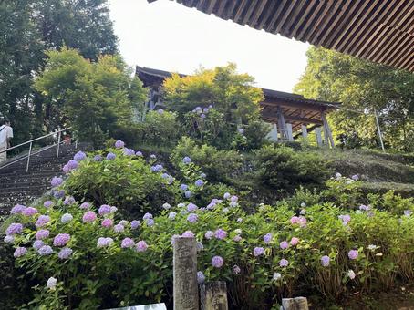 熊谷寺大師堂 熊谷寺大師堂の写真