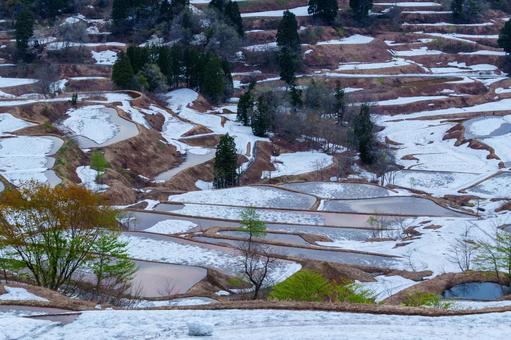 2500501十日町市星峠 新潟県,十日町市,星峠の写真素材