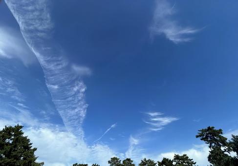 秋空の青空 晴天,空,自然の写真素材
