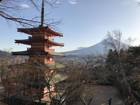 新倉山 新倉山の写真