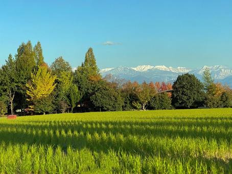 高原の丘 高原の丘 高原,丘,立山連峰の写真素材