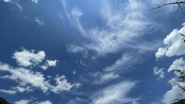 噓偽りのない空 噓偽りのない空の写真