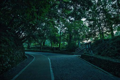 鬱蒼とした木々に囲まれた公園の道 鬱蒼とした木々に囲まれた公園の道 森,鬱蒼,公園の写真素材