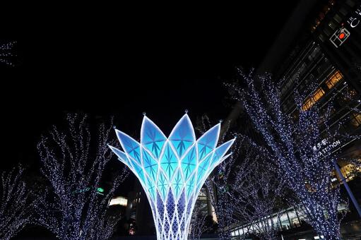 福岡 博多駅のイルミネーション2 ウィッシュフラワー,wishflower,光の森の写真素材