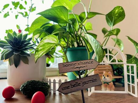 緑とかわいい世界 緑とかわいい世界 植物,ミニチュア,ミニの写真素材