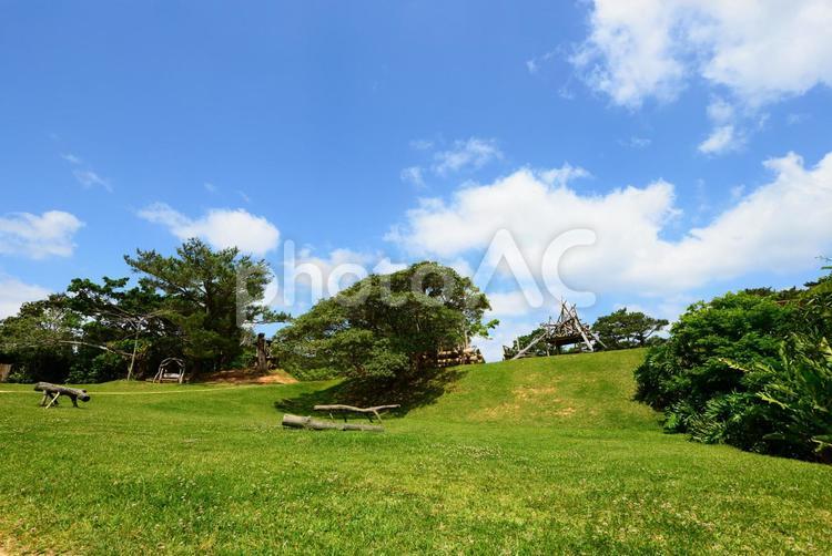 爽やかな青空と新緑 空,風景,雲の写真素材