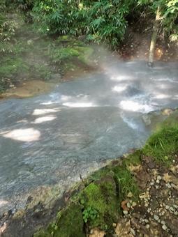 森の川 森の川の写真