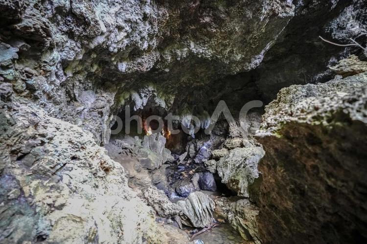 西表島の洞窟 洞窟,鍾乳洞,探検の写真素材