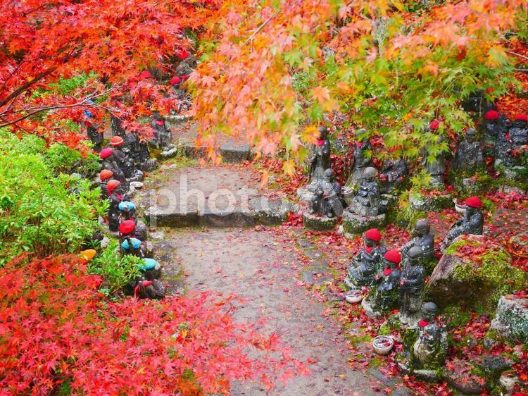 紅葉とお地蔵さん 自然,風景,紅葉の写真素材