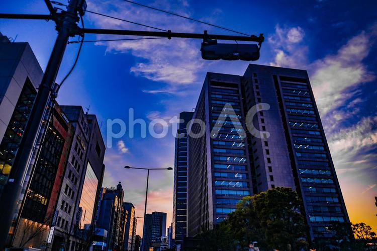 夕暮れの街並み 夕暮れ,ビル,街灯の写真素材
