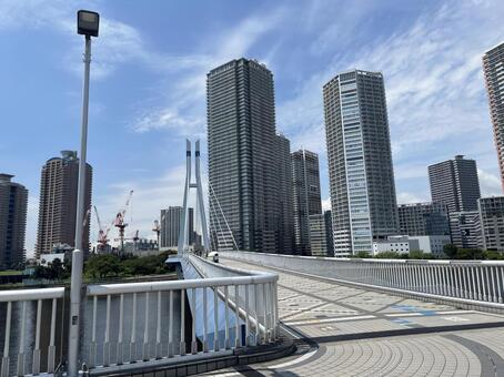 運河にかかる斜張橋 辰巳桜橋,江東区,運河の写真素材