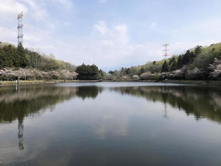 溜め池 溜め池の写真