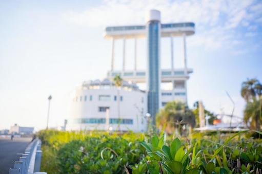 植木越しの名古屋港ポートビル 名古屋,港,ガーデン埠頭の写真素材