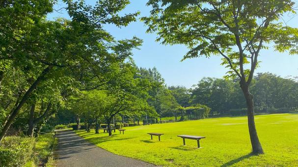 朝の北部公園(金沢市):30 朝の北部公園(金沢市):30の写真
