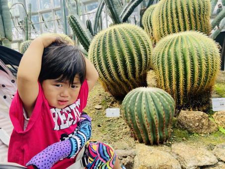 植物園　男の子 人物,男の子,植物園の写真素材